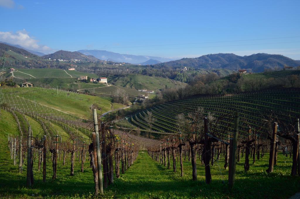 Tami Holidays * Vittorio Veneto